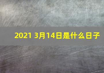 2021 3月14日是什么日子